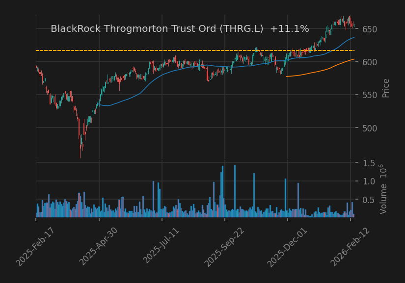 BlackRock Throgmorton Trust Ord